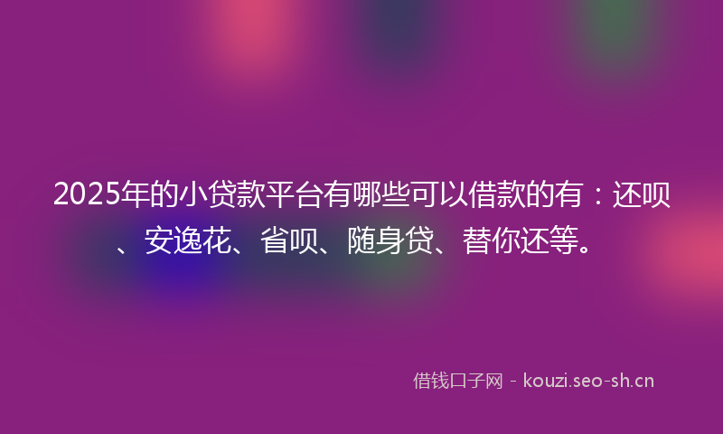2025年的小贷款平台有哪些可以借款的有：还呗、安逸花、省呗、随身贷、替你还等。