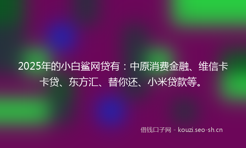 2025年的小白鲨网贷有：中原消费金融、维信卡卡贷、东方汇、替你还、小米贷款等。