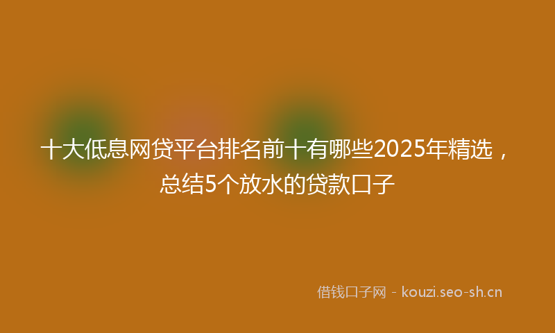 十大低息网贷平台排名前十有哪些2025年精选，总结5个放水的贷款口子