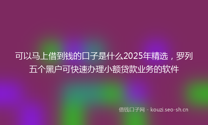 可以马上借到钱的口子是什么2025年精选，罗列五个黑户可快速办理小额贷款业务的软件