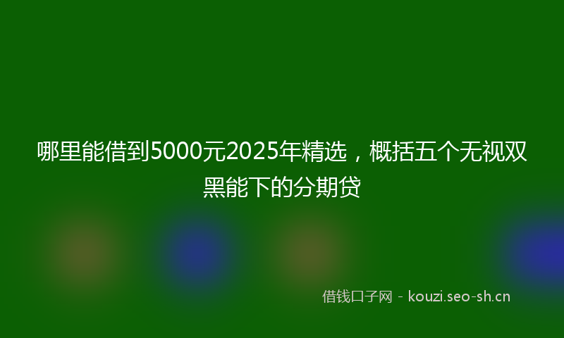 哪里能借到5000元2025年精选，概括五个无视双黑能下的分期贷