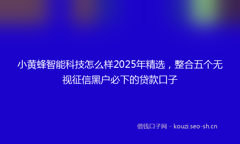 小黄蜂智能科技怎么样2025年精选，整合五个无视征信黑户必下的贷款口子