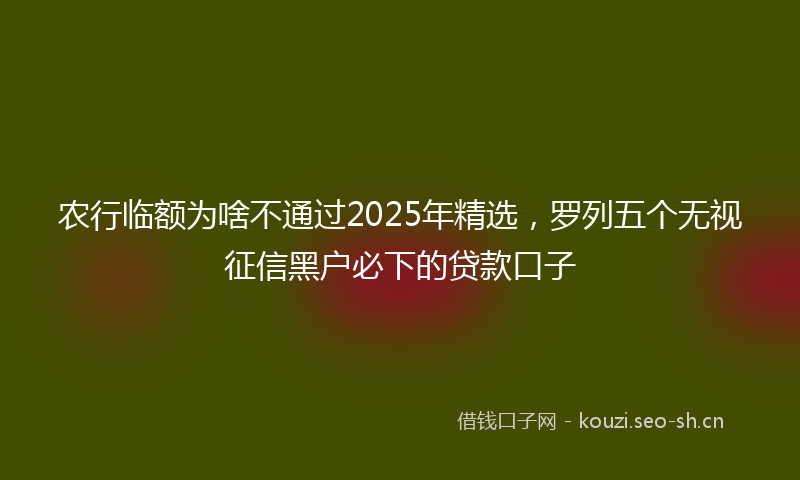 农行临额为啥不通过2025年精选，罗列五个无视征信黑户必下的贷款口子