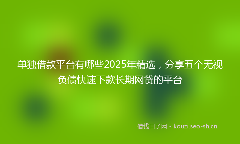 单独借款平台有哪些2025年精选，分享五个无视负债快速下款长期网贷的平台
