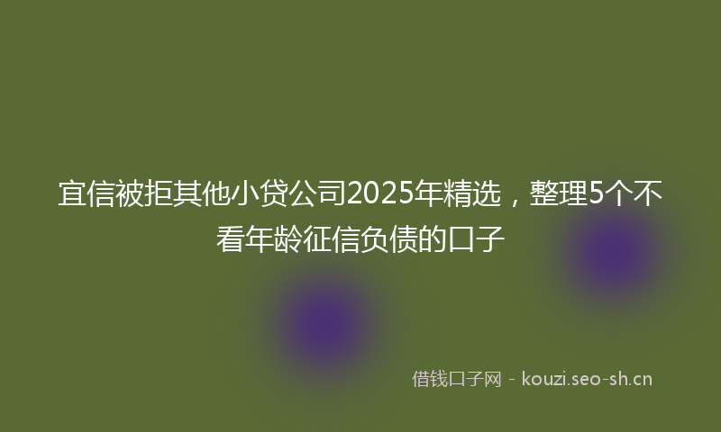 宜信被拒其他小贷公司2025年精选，整理5个不看年龄征信负债的口子