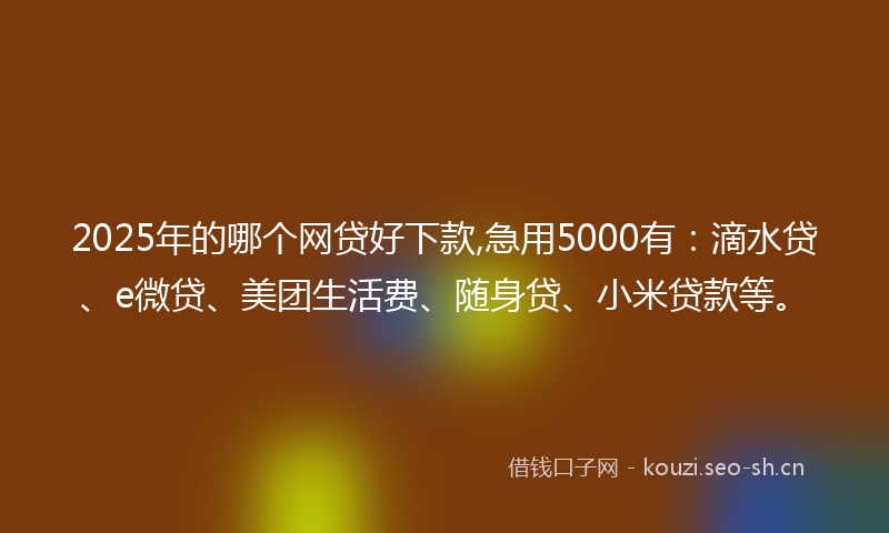 2025年的哪个网贷好下款,急用5000有：滴水贷、e微贷、美团生活费、随身贷、小米贷款等。