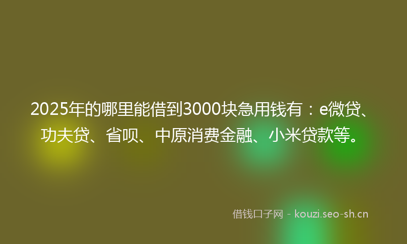 2025年的哪里能借到3000块急用钱有：e微贷、功夫贷、省呗、中原消费金融、小米贷款等。
