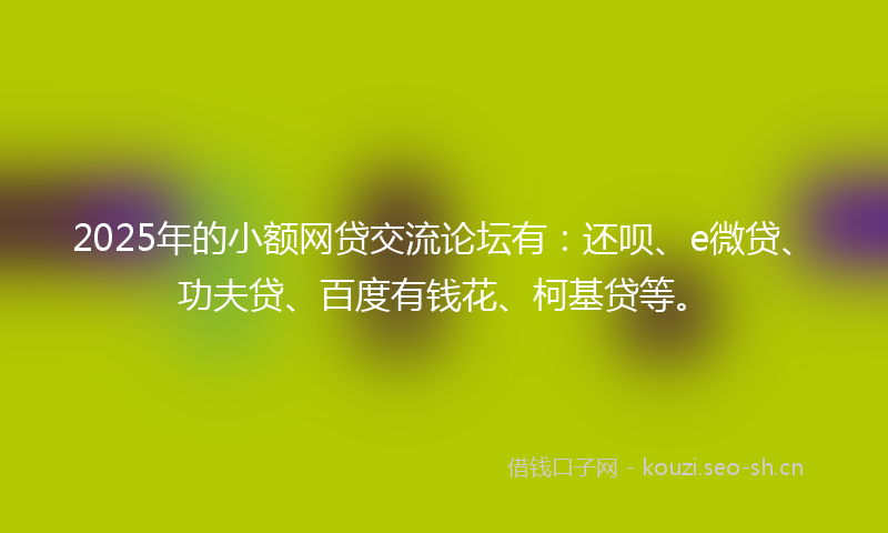 2025年的小额网贷交流论坛有：还呗、e微贷、功夫贷、百度有钱花、柯基贷等。