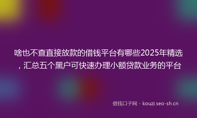 啥也不查直接放款的借钱平台有哪些2025年精选，汇总五个黑户可快速办理小额贷款业务的平台