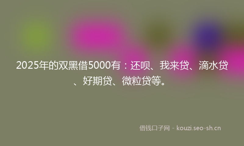 2025年的双黑借5000有：还呗、我来贷、滴水贷、好期贷、微粒贷等。