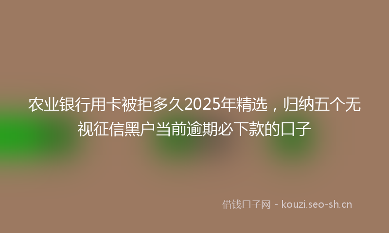农业银行用卡被拒多久2025年精选，归纳五个无视征信黑户当前逾期必下款的口子
