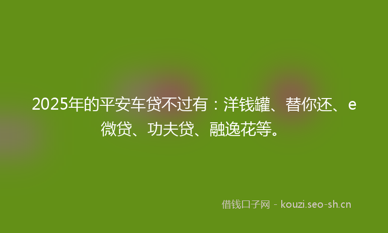 2025年的平安车贷不过有：洋钱罐、替你还、e微贷、功夫贷、融逸花等。