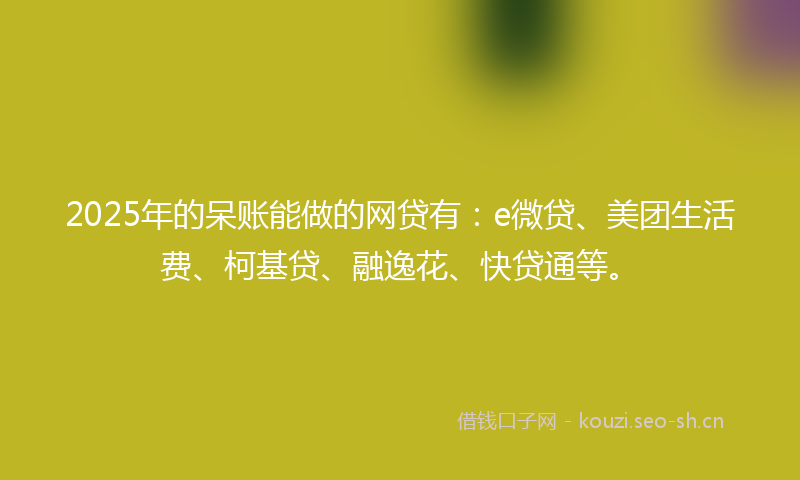 2025年的呆账能做的网贷有：e微贷、美团生活费、柯基贷、融逸花、快贷通等。