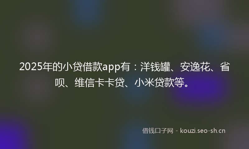 2025年的小贷借款app有：洋钱罐、安逸花、省呗、维信卡卡贷、小米贷款等。