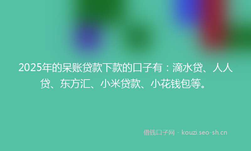 2025年的呆账贷款下款的口子有：滴水贷、人人贷、东方汇、小米贷款、小花钱包等。