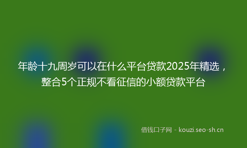 年龄十九周岁可以在什么平台贷款2025年精选，整合5个正规不看征信的小额贷款平台