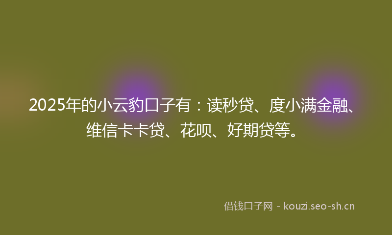 2025年的小云豹口子有：读秒贷、度小满金融、维信卡卡贷、花呗、好期贷等。