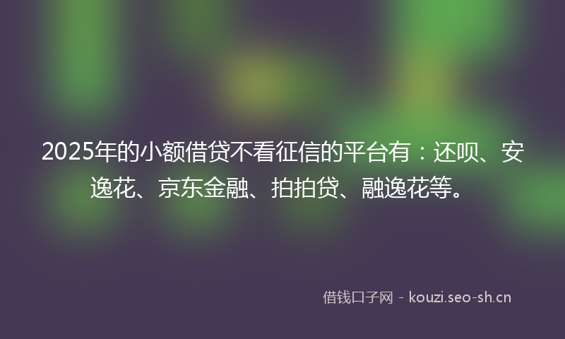 2025年的小额借贷不看征信的平台有：还呗、安逸花、京东金融、拍拍贷、融逸花等。