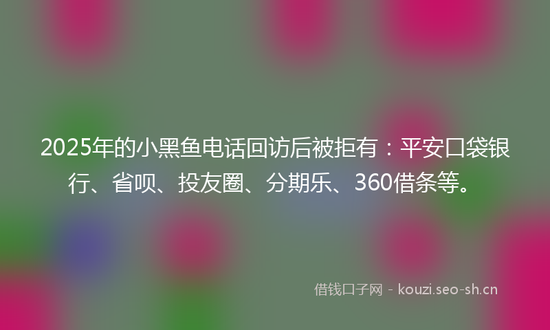 2025年的小黑鱼电话回访后被拒有：平安口袋银行、省呗、投友圈、分期乐、360借条等。