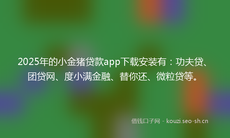 2025年的小金猪贷款app下载安装有：功夫贷、团贷网、度小满金融、替你还、微粒贷等。