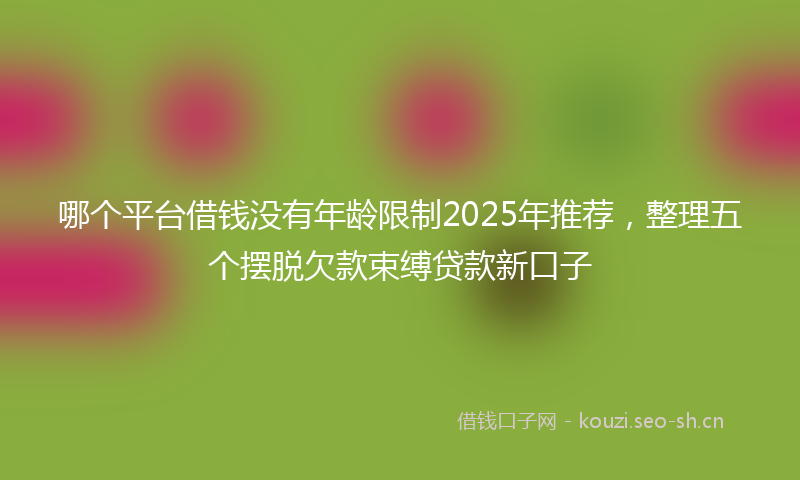 哪个平台借钱没有年龄限制2025年推荐，整理五个摆脱欠款束缚贷款新口子