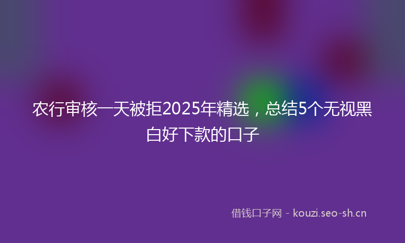 农行审核一天被拒2025年精选，总结5个无视黑白好下款的口子