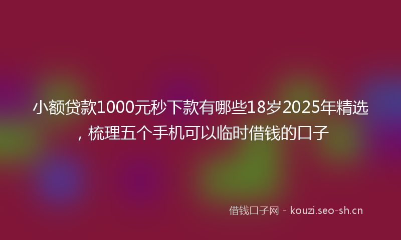 小额贷款1000元秒下款有哪些18岁2025年精选，梳理五个手机可以临时借钱的口子
