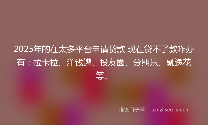 2025年的在太多平台申请贷款 现在贷不了款咋办有：拉卡拉、洋钱罐、投友圈、分期乐、融逸花等。