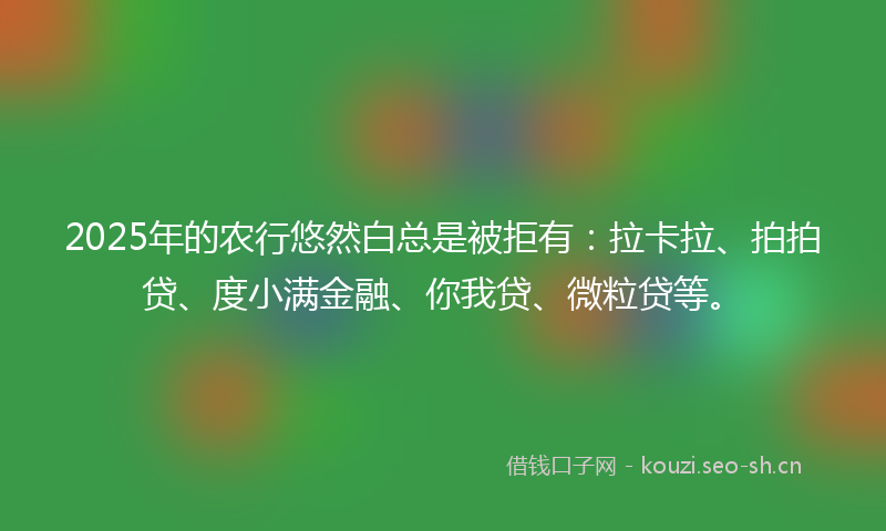 2025年的农行悠然白总是被拒有：拉卡拉、拍拍贷、度小满金融、你我贷、微粒贷等。