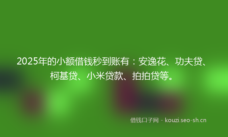 2025年的小额借钱秒到账有：安逸花、功夫贷、柯基贷、小米贷款、拍拍贷等。