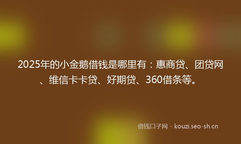 2025年的小金鹅借钱是哪里有：惠商贷、团贷网、维信卡卡贷、好期贷、360借条等。