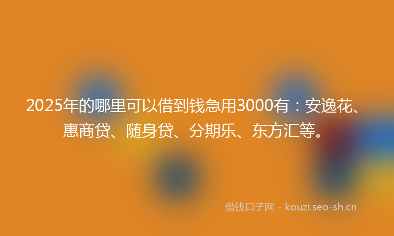 2025年的哪里可以借到钱急用3000有：安逸花、惠商贷、随身贷、分期乐、东方汇等。