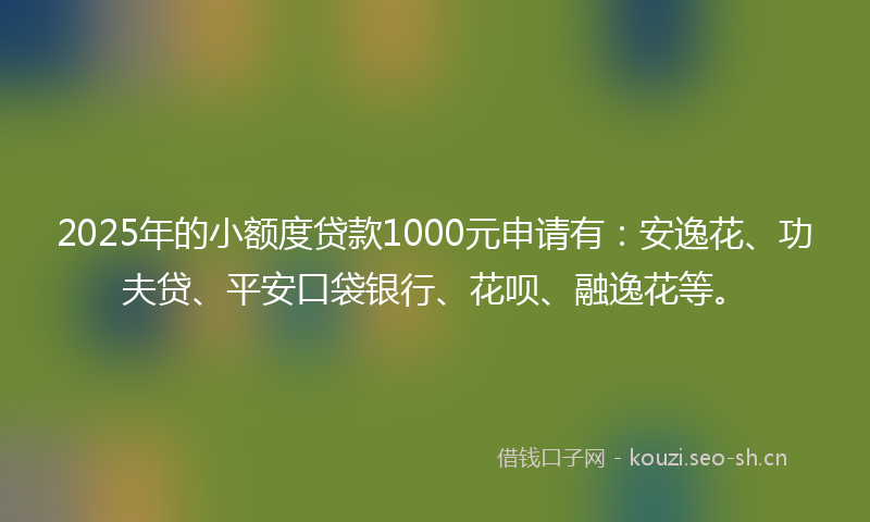 2025年的小额度贷款1000元申请有：安逸花、功夫贷、平安口袋银行、花呗、融逸花等。
