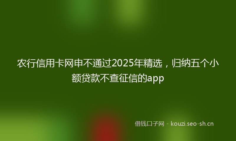 农行信用卡网申不通过2025年精选，归纳五个小额贷款不查征信的app