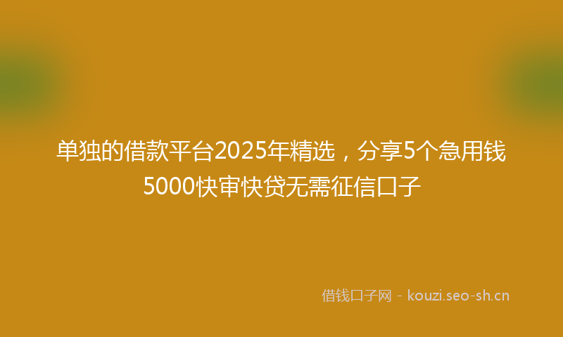 单独的借款平台2025年精选，分享5个急用钱5000快审快贷无需征信口子