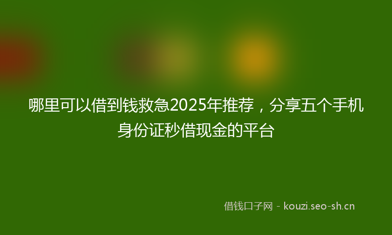 哪里可以借到钱救急2025年推荐，分享五个手机身份证秒借现金的平台