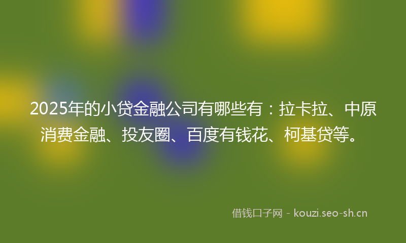 2025年的小贷金融公司有哪些有：拉卡拉、中原消费金融、投友圈、百度有钱花、柯基贷等。