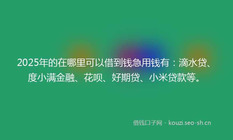 2025年的在哪里可以借到钱急用钱有：滴水贷、度小满金融、花呗、好期贷、小米贷款等。