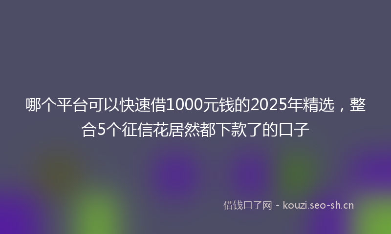 哪个平台可以快速借1000元钱的2025年精选，整合5个征信花居然都下款了的口子