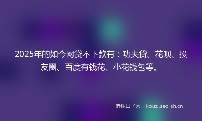 2025年的如今网贷不下款有：功夫贷、花呗、投友圈、百度有钱花、小花钱包等。