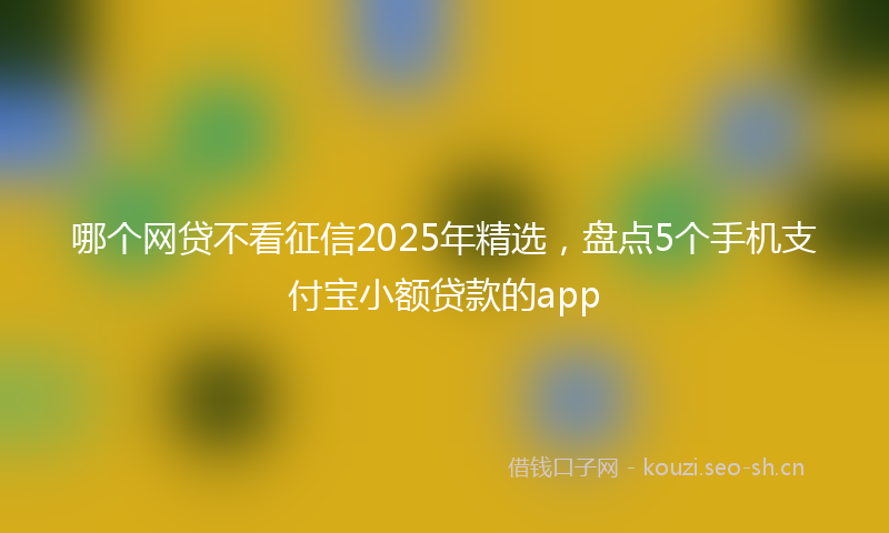 哪个网贷不看征信2025年精选，盘点5个手机支付宝小额贷款的app