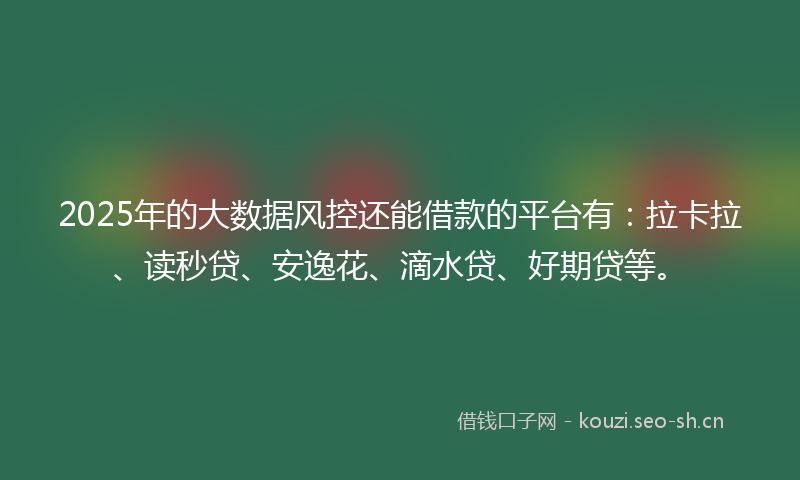 2025年的大数据风控还能借款的平台有：拉卡拉、读秒贷、安逸花、滴水贷、好期贷等。