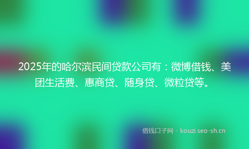 2025年的哈尔滨民间贷款公司有：微博借钱、美团生活费、惠商贷、随身贷、微粒贷等。