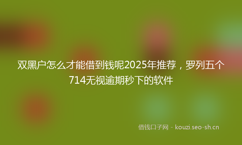 双黑户怎么才能借到钱呢2025年推荐，罗列五个714无视逾期秒下的软件