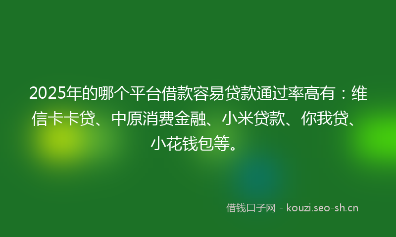 2025年的哪个平台借款容易贷款通过率高有：维信卡卡贷、中原消费金融、小米贷款、你我贷、小花钱包等。