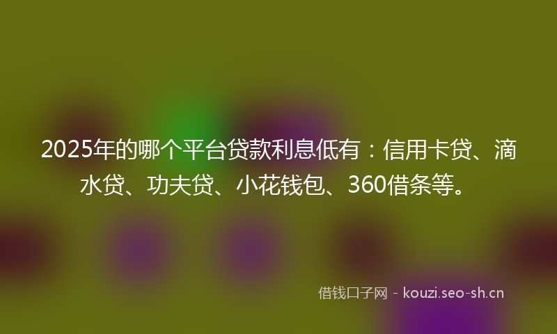 2025年的哪个平台贷款利息低有：信用卡贷、滴水贷、功夫贷、小花钱包、360借条等。