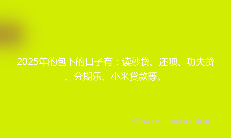 2025年的包下的口子有：读秒贷、还呗、功夫贷、分期乐、小米贷款等。