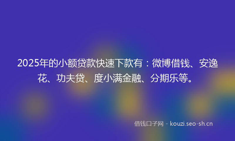 2025年的小额贷款快速下款有：微博借钱、安逸花、功夫贷、度小满金融、分期乐等。
