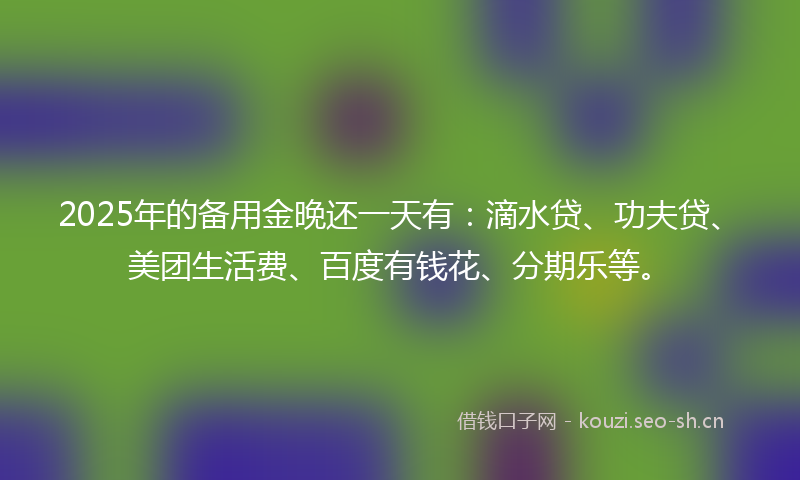 2025年的备用金晚还一天有：滴水贷、功夫贷、美团生活费、百度有钱花、分期乐等。