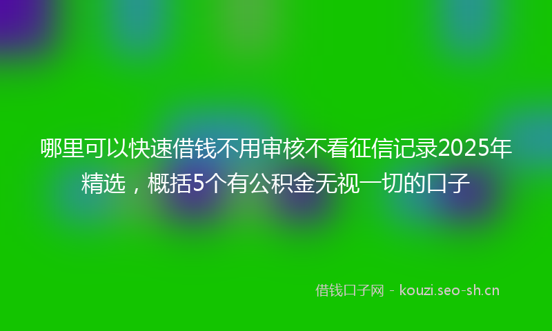 哪里可以快速借钱不用审核不看征信记录2025年精选，概括5个有公积金无视一切的口子